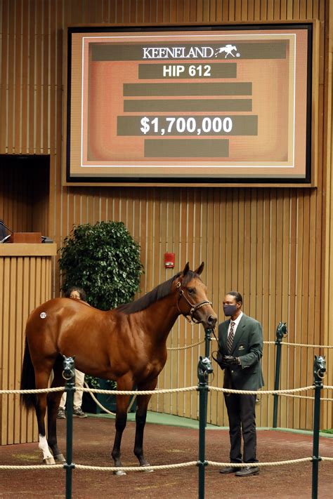 keeneland sales results|Keeneland sale grosses $352 million; 15 yearlings go .
